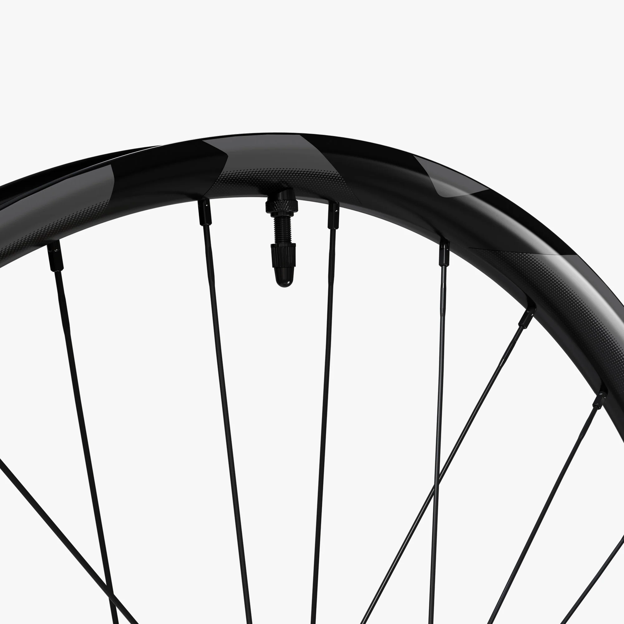 Thumbnail 19
